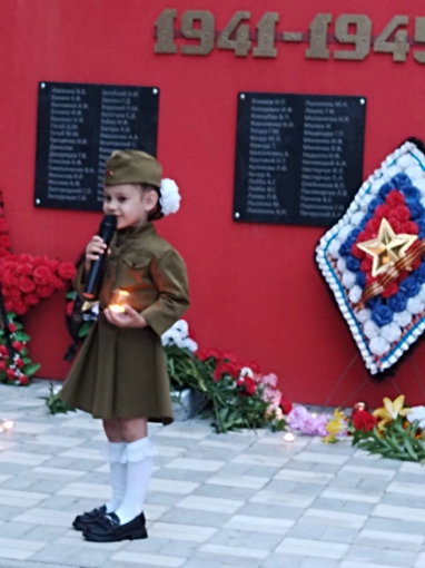 Мы сражались за Родину Мы сражались за Родину.